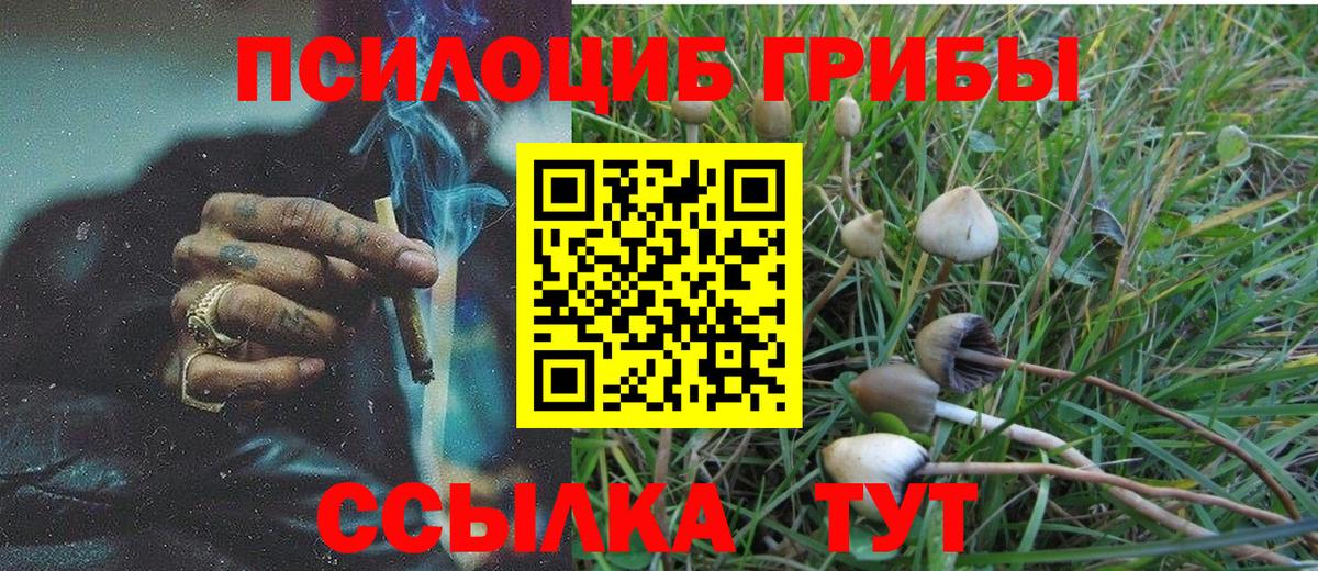 Галлюциногенные грибы ЛСД Дубна