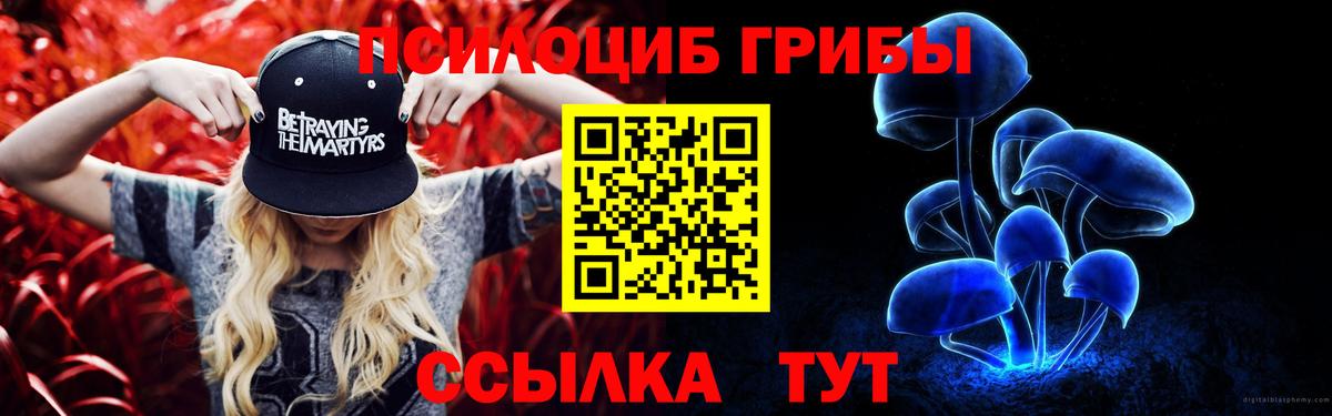 Псилоцибиновые грибы MAGIC MUSHROOMS  Вход с VPN  Дубна 