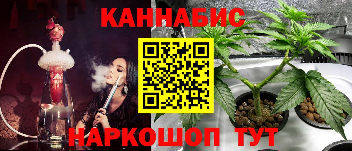 МАРИХУАНА Amnesia  Конопля сатива  Вход с VPN  Каннабис планчик  Дубна 